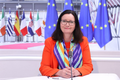 Edita Hrdá Stále zastoupení při EU