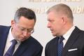 Ladislav Kamenický, Robert Fico
