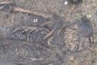 Akademie věd okruh vykopávky archeologie