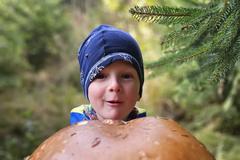 Rekordní hřib dubový