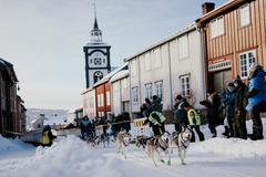 femundlopet psí spřežení mushing norsko