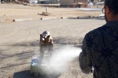 medvěd útok napadení