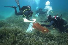 5ecko, moře, potapeč, úklid