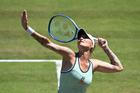Markéta Vondroušová, Berlín Tennis Open