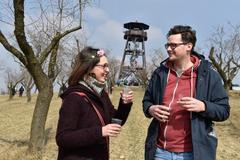 hustopeče, mandloň, festival, jaro, tipy