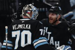 Zákroky Karla Vejmelky