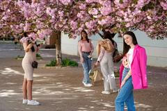 Ukrajinský deník: Cesta na východ II - sakury