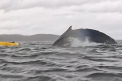 "Bylo děsivé, když jsem si myslel, že jsem umřel," říká Andrián, kterého spolkla velryba