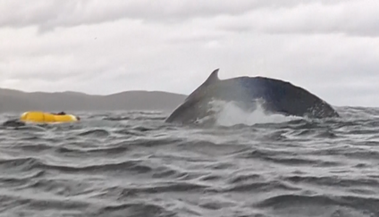 "Bylo děsivé, když jsem si myslel, že jsem umřel," říká Andrián, kterého spolkla velryba