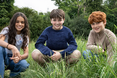 Harry Potter, seriál