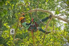 stromolezectví anna gregorovičová arboristka