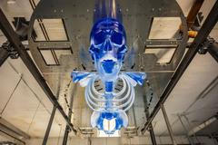 Skláři ze Železného Brodu vyrobili pro pražský Máj obřího skleněného kostlivce