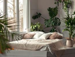 Rostliny v ložnici