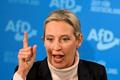 AfD, Alice Weidelová