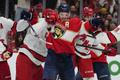 Hurricanes Panthers Hockey