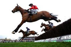 Cheltenham Festival, dostihy, Velká Británie