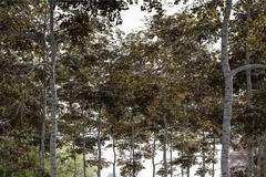 pomník, pietní místo, Ján Kuciak, Prešov, památník