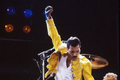 Freddie Mercury