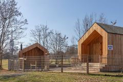 lesní školka, školka, Žižkov, Praha, stavba, architektura