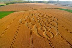 Wiltshire, červenec 2021