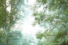 chata na vodopádu, bydlení, chata, chalupa, příroda, ubytování