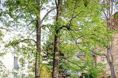 Martin Pavel: Daily Portrait Brno-Bratislava-Budapest-Vienna. Ukázky z fotografické knihy