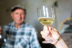 Obec Mikulov, víno, cestovní ruch, vinařství