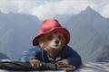 Trailer z filmu Paddington v džungli