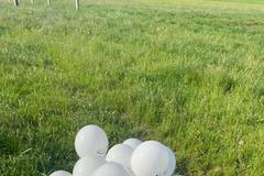 Balónky Statek Patákovi Běh proti rakovině Německo pohled Ali