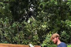 džungle, dán, mladík, stavba, dům