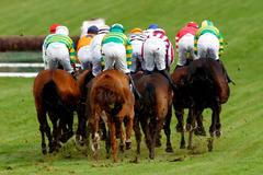 Cheltenham Festival, dostihy, Velká Británie
