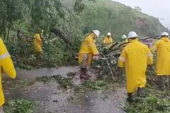 Mexiko, zablokovaná silnice, povalený strom, hurikán Erick