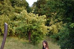 domeček na kopci, dům, rekonstrukce, zahrada, příběh