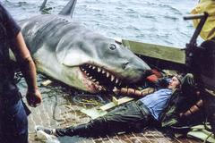 Čelisti, film, zákulisí, natáčení, Kultura, codagalerie