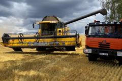 Drápalíka nepřejeli, pan Pávek už pro zrno nepřijede. Vesnička má, středisková žije žněmi