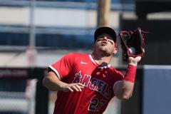 Tahanice mezi divákem a baseballistou v utkání Houston - LA Angels