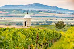 Hradištěk Velké Bílovice