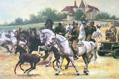 Záchrana koňů z Hostouně, archivní obrázky.