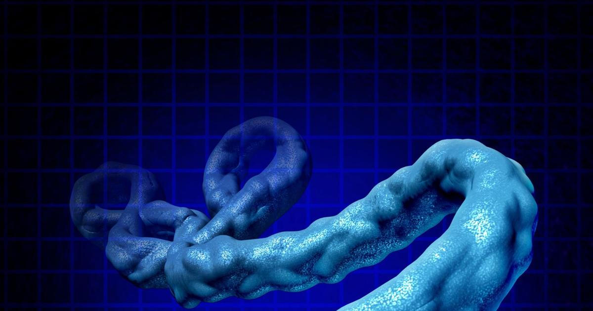 Na severovýchodě Konga propukla epidemie eboly, hlášeno je 65 úmrtí
