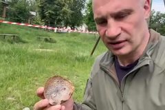 Rusko zaútočilo na Kyjev kazetovými raketami, aby zabilo co nejvíce civilistů, říká Kličko