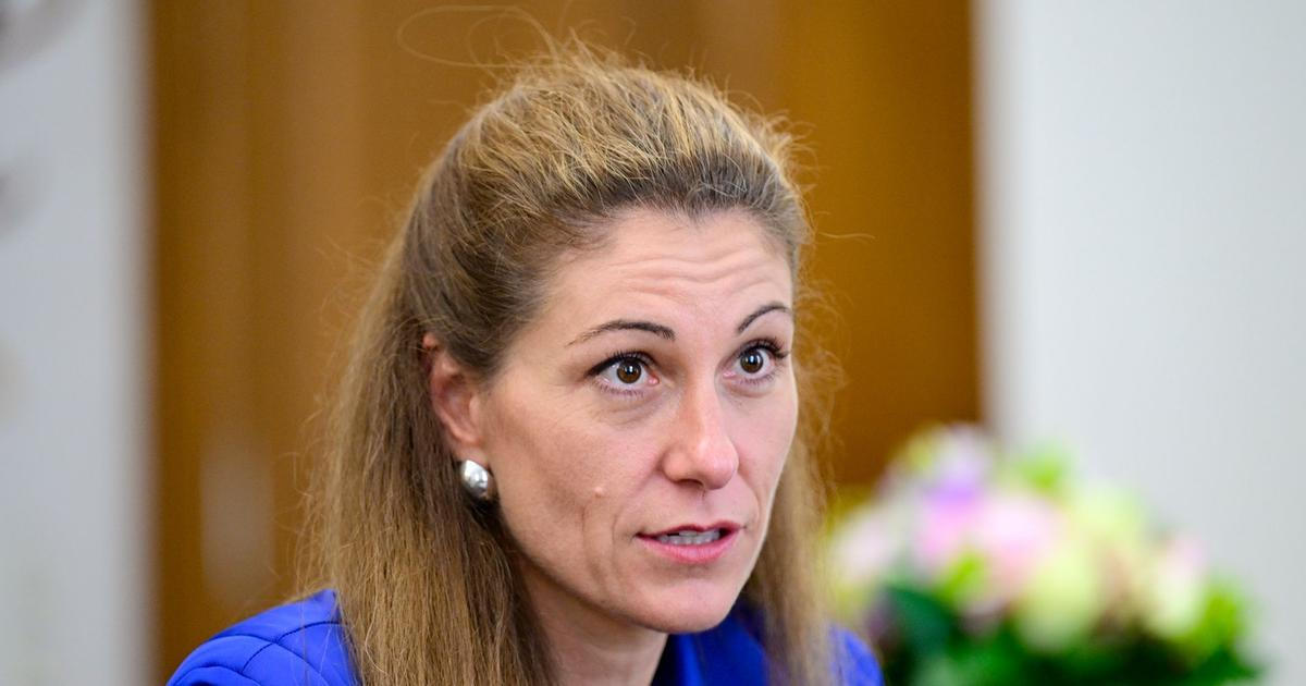 Přemet Evy Decroix: Brojí proti kontroverznímu zákonu. Přitom ho sama předkládala