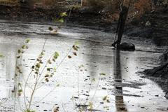 laguny Ostramo - sanace se protahuje