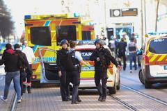 Mannheim auto najelo do lidí