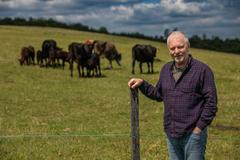 farma, farma Stehlík, krávy, příroda, byznys, statek, vesnice