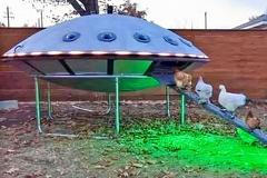 Bizarní výjevy ze zahrad a dvorků