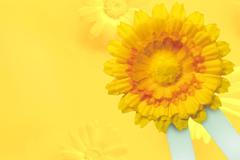 Český den boje proti rakovině