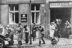 Pražské povstání, květen 1945, Praha, Domácí