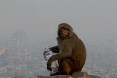 Nepál, Káthmándú, smog