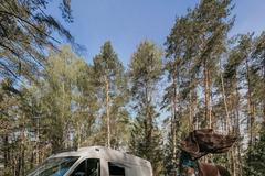 polsko balt hrad malbork pes moře