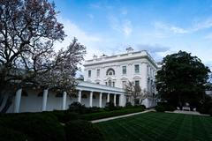 trump jackson magnolie